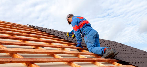Best Roof Moss and Algae Removal  in Plymouth, MI