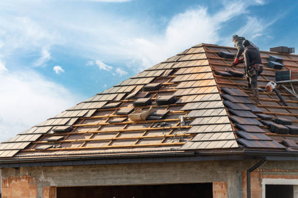 Best Roof Maintenance and Cleaning  in Plymouth, MI