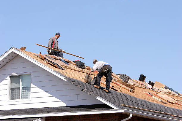 Best Solar Panel Roofing Installation  in Plymouth, MI